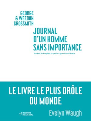 cover image of Journal d'un homme sans importance